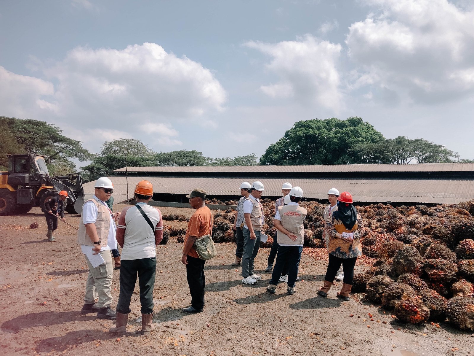 DGL Learning Institute Sukses Gelar Pelatihan Auditor ISPO 2026, Batch Selanjutnya Resmi Dibuka Juli 2026 di Bogor