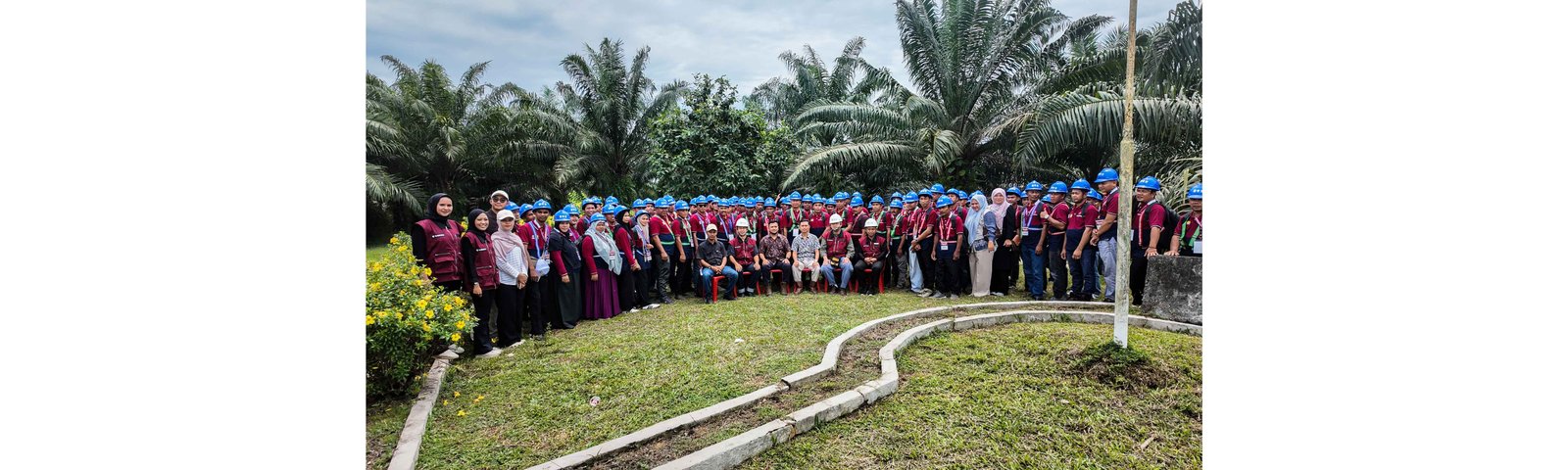 Pelatihan Panen dan Pasca Panen Kelapa Sawit Bekali 94 Pekebun Aceh Tingkatkan Produktivitas dan Kualitas Hasil Panen