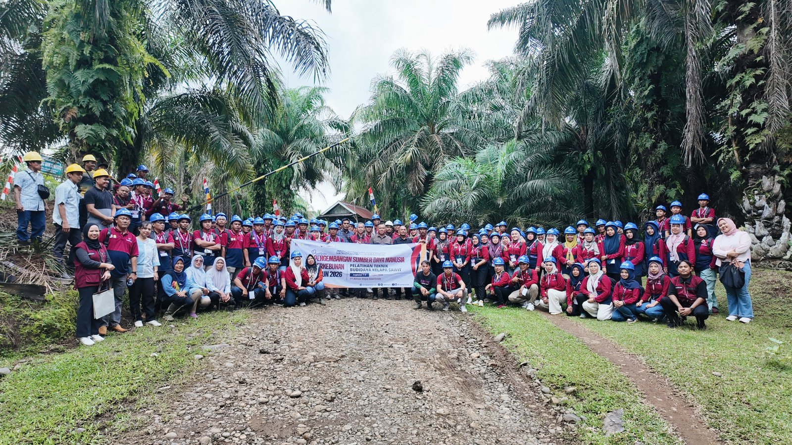 BPDP, Ditjenbun, dan DGL Learning Institute Bekali 90 Pekebun Bengkulu Selatan Praktik Budidaya Kelapa Sawit Langsung di PT Bimas Raya Sawitindo